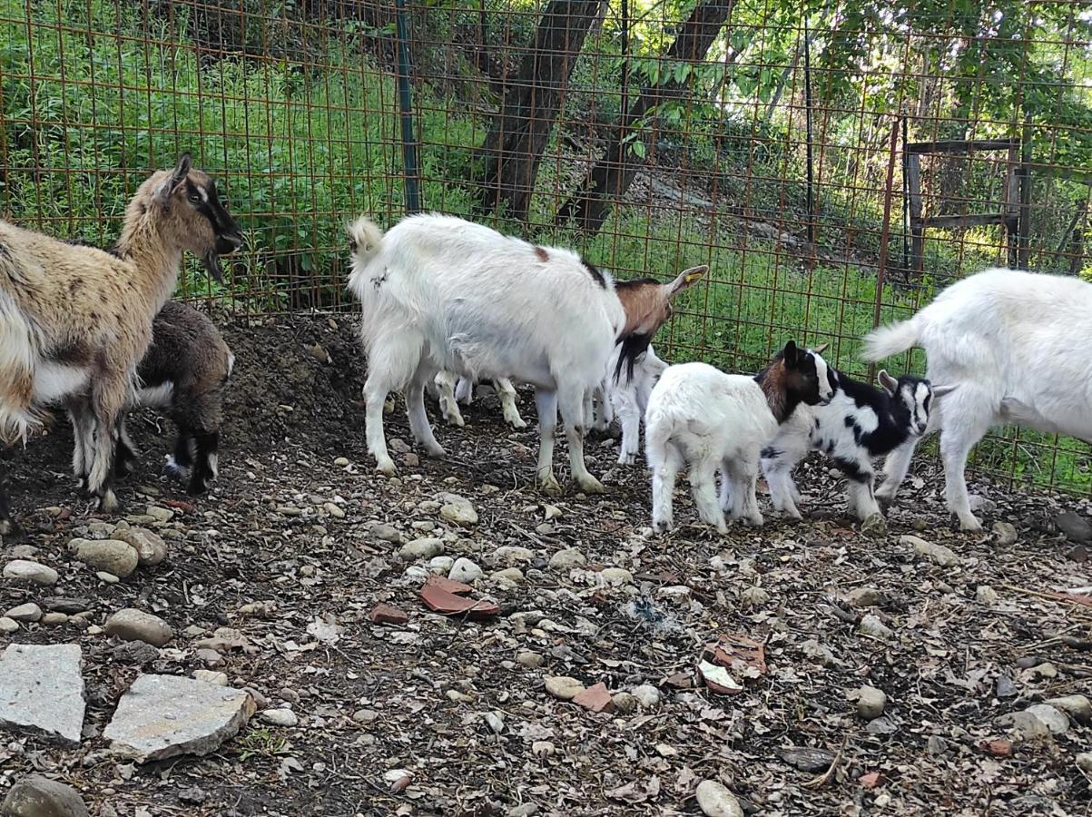 Podere Casanova Montespertoli Dış mekan fotoğraf