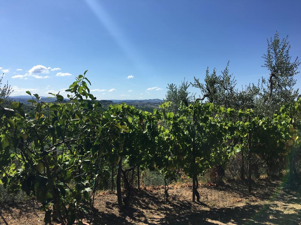 Podere Casanova Montespertoli Dış mekan fotoğraf