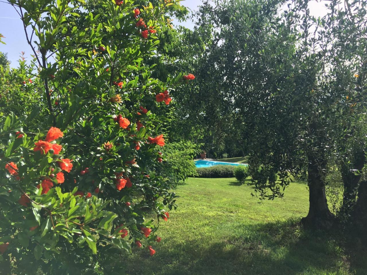 Podere Casanova Montespertoli Dış mekan fotoğraf