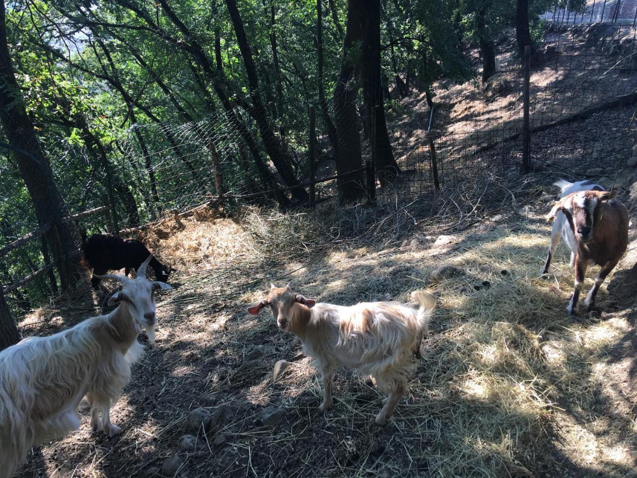 Podere Casanova Montespertoli Dış mekan fotoğraf